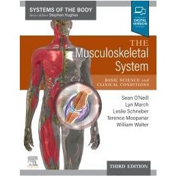 The Musculoskeletal System