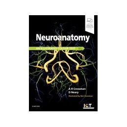 Neuroanatomy: an...