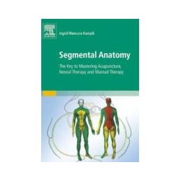 Segmental Anatomy