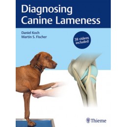 Diagnosing Canine Lameness