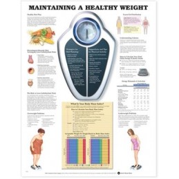 Maintaining A Healthy Weight