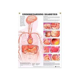 Understanding Diabetes...