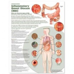 Understanding Inflammatory...