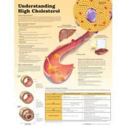 Understanding High...