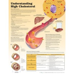 Understanding High...