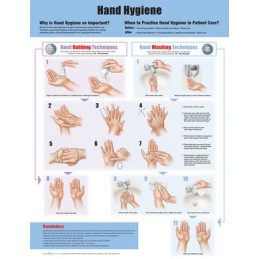 Hand Hygiene