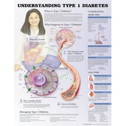 Understanding Type 1...