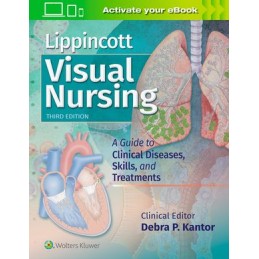 Lippincott Visual Nursing:...