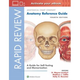 Rapid Review: Anatomy...