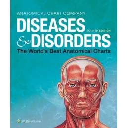 Diseases & Disorders: The World's Best Anatomical Charts