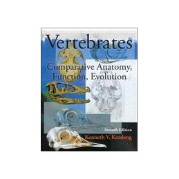 Vertebrates: Comparative...