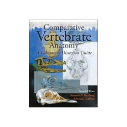 Comparative Vertebrate...