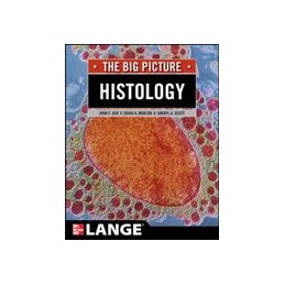 Histology: The Big Picture