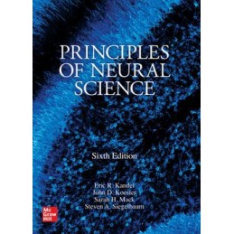 Principles of Neural...