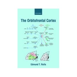 The Orbitofrontal Cortex