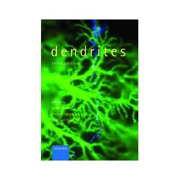 Dendrites