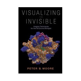 Visualizing the Invisible