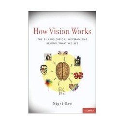 How Vision Works