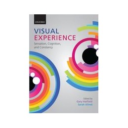 Visual Experience