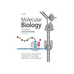 Molecular Biology