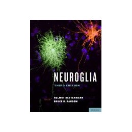 Neuroglia