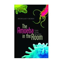 The Amoeba in the Room