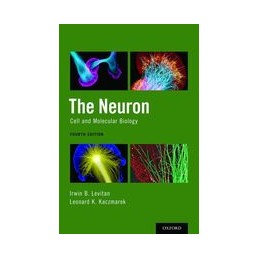 The Neuron