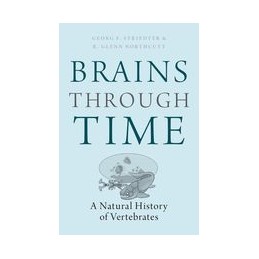 Brains Through Time