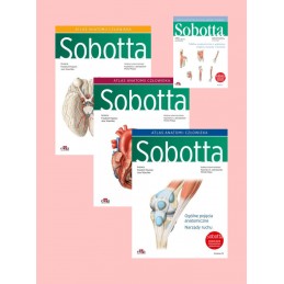 * Atlas anatomii człowieka Sobotta  cz. 1-3  (angielskie mianownictwo anatomiczne) + Tablice anatomiczne mięśni, stawów i nerwów