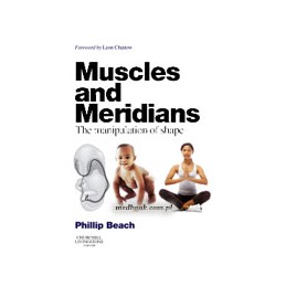 Muscles and Meridians