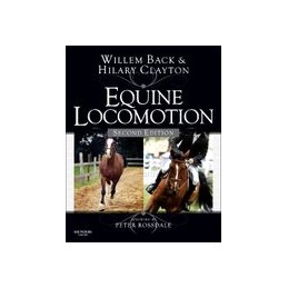 Equine Locomotion