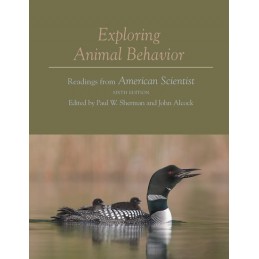 Exploring Animal Behavior