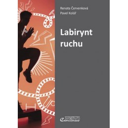 Labirynt ruchu