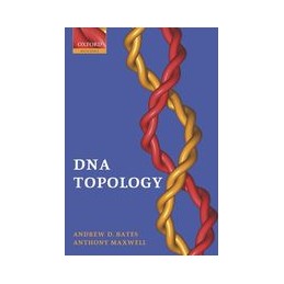 DNA Topology