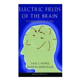 Electric Fields of the Brain