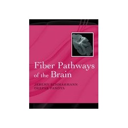 Fiber Pathways of the Brain