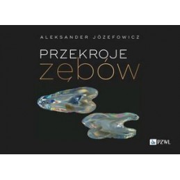 Przekroje zębów