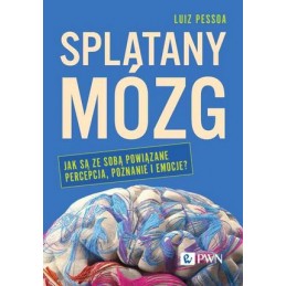 Splątany mózg