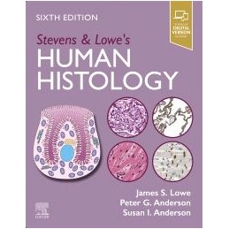 Stevens & Lowe's Human Histology