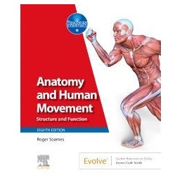 Anatomy and Human Movement