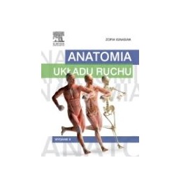 Anatomia układu ruchu