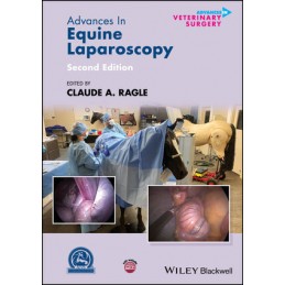 Advances in Equine Laparoscopy