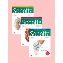 * Atlas anatomii człowieka Sobotta  cz. 1-3  (angielskie mianownictwo anatomiczne)