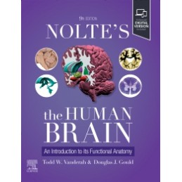 Nolte's The Human Brain