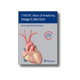 THIEME Atlas of Anatomy Image Collection--Neck and Internal Organs