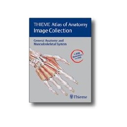 THIEME Atlas of Anatomy...