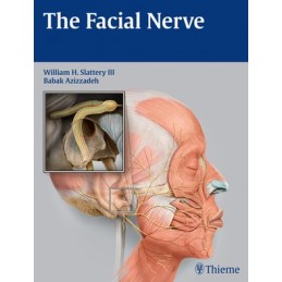 The Facial Nerve