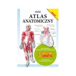 Atlas anatomiczny