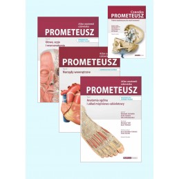 PROMETEUSZ Atlas anatomii...