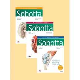 * Atlas anatomii człowieka Sobotta  cz. 1-3  (łacińskie mianownictwo anatomiczne)